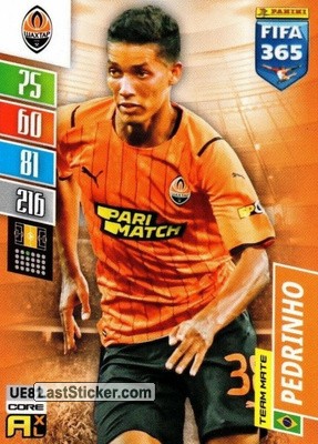 Pedrinho