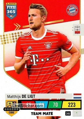 Matthijs de Ligt
