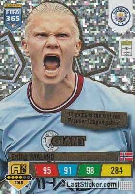Erling Haaland